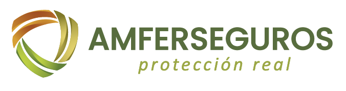 AMFER Seguros